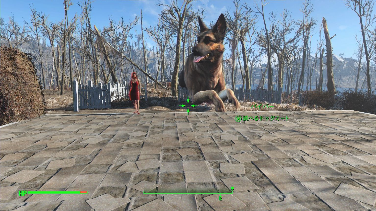 Ps4 Giant Dogmeat Ps4 Fallout4mod