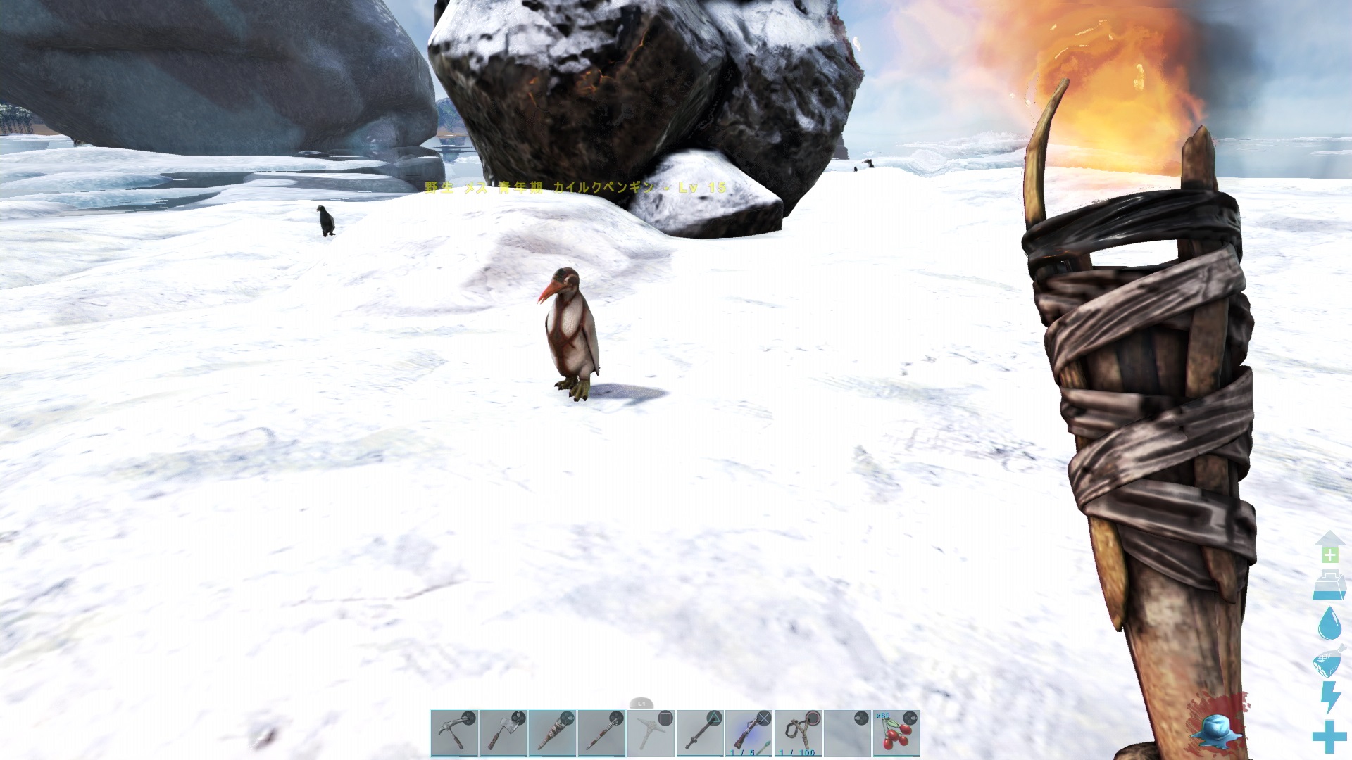 Ark 金属 原油 ペンギンポリマー 洞窟 世界一周の旅 ゲームの玉子様
